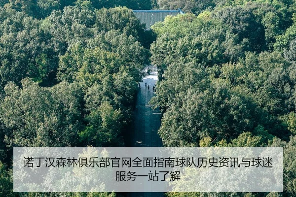 nuo-ding-han-sen-lin-ju-le-bu-guan-wang-quan-mian-zhi-nan-qiu-dui-li-shi-zi-xun-yu-qiu-mi-fu-wu-yi-zhan-liao-jie-2-400.jpg