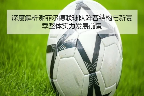 深度解析谢菲尔德联球队阵容结构与新赛季整体实力发展前景